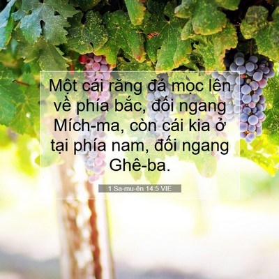 Picture 07 - 1 Sa-mu-ên 14:5 VIE - Một cái răng đá mọc lên về phía - Bible Verse Picture