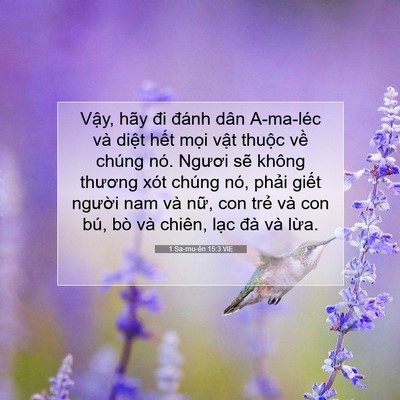 Picture 07 - 1 Sa-mu-ên 15:3 VIE - Vậy, hãy đi đánh dân A-ma-léc và diệt - Bible Verse Picture