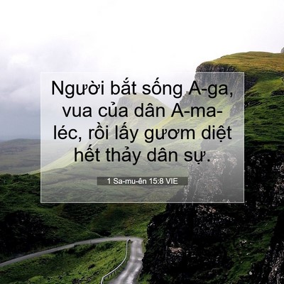 Picture 07 - 1 Sa-mu-ên 15:8 VIE - Người bắt sống A-ga, vua của dân - Bible Verse Picture