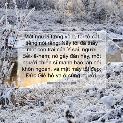 Picture 07 - 1 Sa-mu-ên 16:18 VIE - Một người trong vòng tôi tớ cất - Bible Verse Picture