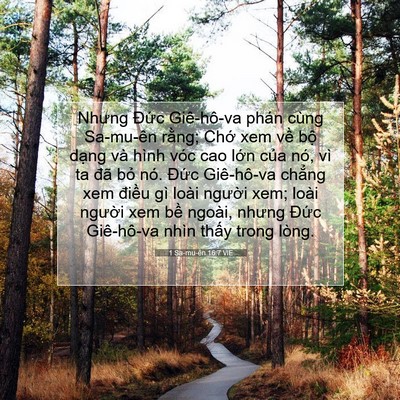 Picture 07 - 1 Sa-mu-ên 16:7 VIE - Nhưng Đức Giê-hô-va phán cùng Sa-mu-ên - Bible Verse Picture