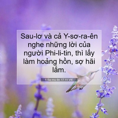 Picture 07 - 1 Sa-mu-ên 17:11 VIE - Sau-lơ và cả Y-sơ-ra-ên nghe những lời - Bible Verse Picture