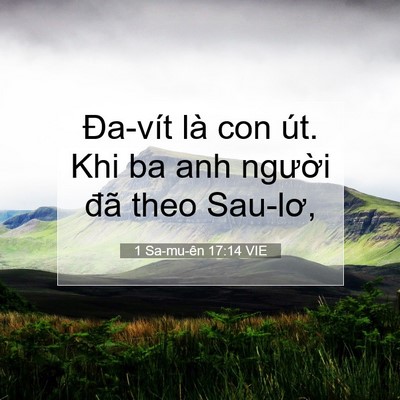 Picture 07 - 1 Sa-mu-ên 17:14 VIE - Đa-vít là con út. Khi ba anh người đã - Bible Verse Picture