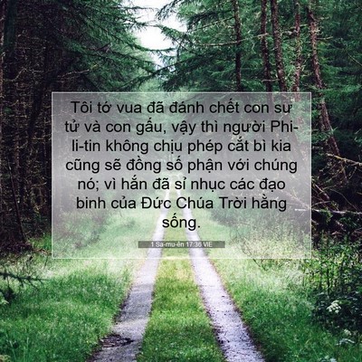 Picture 07 - 1 Sa-mu-ên 17:36 VIE - Tôi tớ vua đã đánh chết con sư tử và - Bible Verse Picture