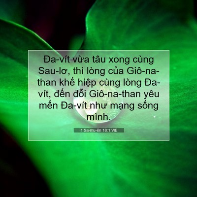 Picture 07 - 1 Sa-mu-ên 18:1 VIE - Đa-vít vừa tâu xong cùng Sau-lơ, thì - Bible Verse Picture