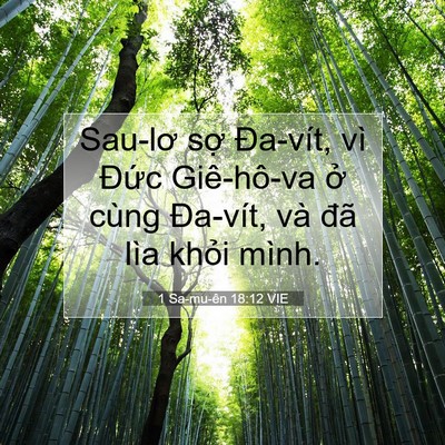 Picture 07 - 1 Sa-mu-ên 18:12 VIE - Sau-lơ sợ Đa-vít, vì Đức Giê-hô-va ở - Bible Verse Picture
