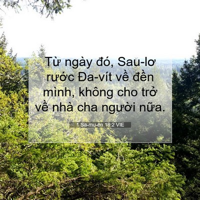 Picture 07 - 1 Sa-mu-ên 18:2 VIE - Từ ngày đó, Sau-lơ rước Đa-vít về - Bible Verse Picture