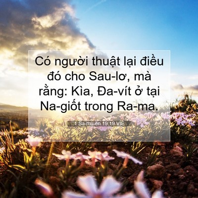 Picture 07 - 1 Sa-mu-ên 19:19 VIE - Có người thuật lại điều đó cho - Bible Verse Picture