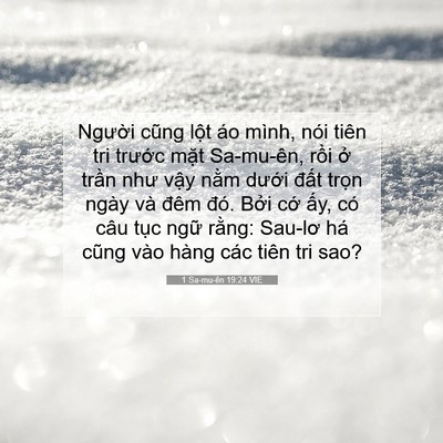 Picture 07 - 1 Sa-mu-ên 19:24 VIE - Người cũng lột áo mình, nói tiên tri - Bible Verse Picture