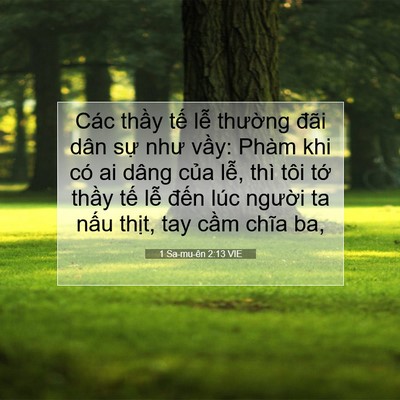 Picture 07 - 1 Sa-mu-ên 2:13 VIE - Các thầy tế lễ thường đãi dân sự - Bible Verse Picture