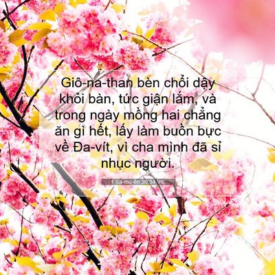 Picture 07 - 1 Sa-mu-ên 20:34 VIE - Giô-na-than bèn chổi dậy khỏi bàn, tức - Bible Verse Picture