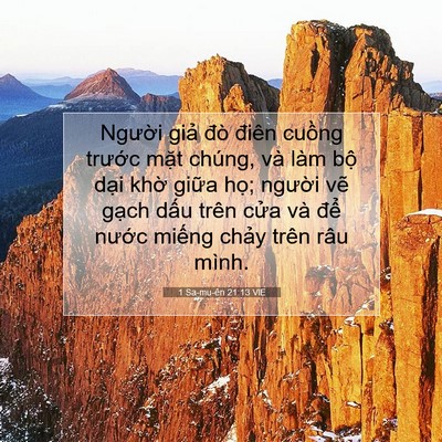 Picture 07 - 1 Sa-mu-ên 21:13 VIE - Người giả đò điên cuồng trước mặt - Bible Verse Picture