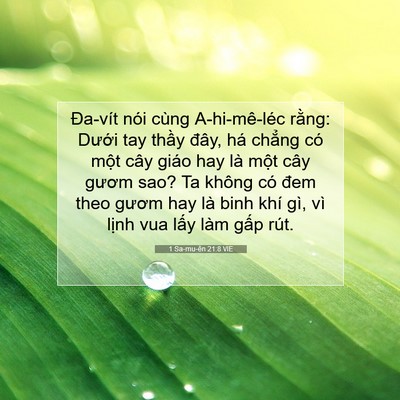 Picture 07 - 1 Sa-mu-ên 21:8 VIE - Đa-vít nói cùng A-hi-mê-léc rằng: Dưới - Bible Verse Picture