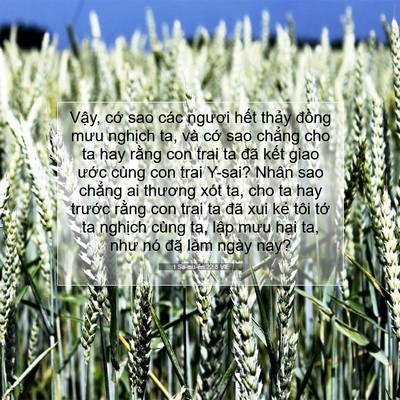 Picture 07 - 1 Sa-mu-ên 22:8 VIE - Vậy, cớ sao các ngươi hết thảy đồng - Bible Verse Picture