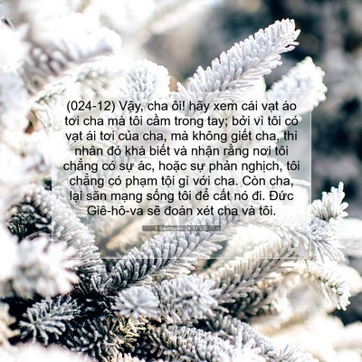 Picture 07 - 1 Sa-mu-ên 24:11 VIE - (024-12) Vậy, cha ôi! hãy xem cái vạt áo - Bible Verse Picture