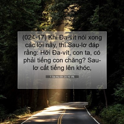 Picture 07 - 1 Sa-mu-ên 24:16 VIE - (024-17) Khi Đa-vít nói xong các lời nầy, - Bible Verse Picture