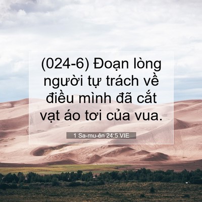 Picture 07 - 1 Sa-mu-ên 24:5 VIE - (024-6) Đoạn lòng người tự trách về - Bible Verse Picture