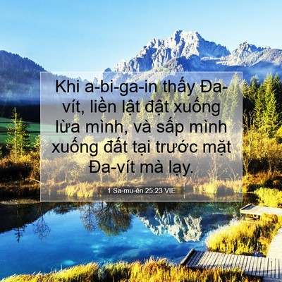 Picture 07 - 1 Sa-mu-ên 25:23 VIE - Khi a-bi-ga-in thấy Đa-vít, liền lật - Bible Verse Picture