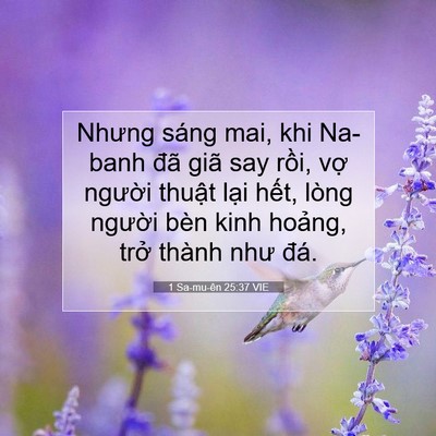 Picture 07 - 1 Sa-mu-ên 25:37 VIE - Nhưng sáng mai, khi Na-banh đã giã say - Bible Verse Picture
