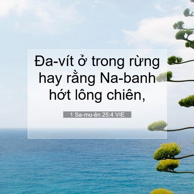 Picture 07 - 1 Sa-mu-ên 25:4 VIE - Đa-vít ở trong rừng hay rằng Na-banh - Bible Verse Picture
