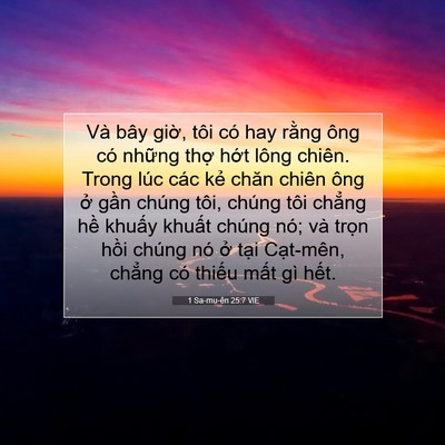 Picture 07 - 1 Sa-mu-ên 25:7 VIE - Và bây giờ, tôi có hay rằng ông có - Bible Verse Picture