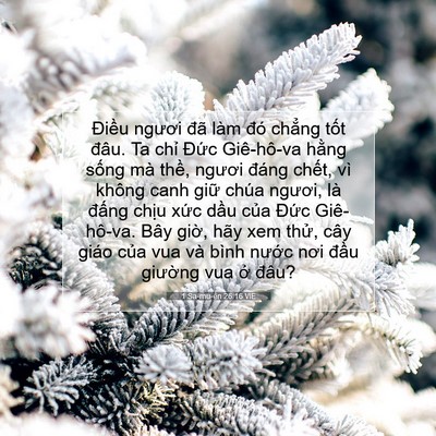 Picture 07 - 1 Sa-mu-ên 26:16 VIE - Điều ngươi đã làm đó chẳng tốt - Bible Verse Picture