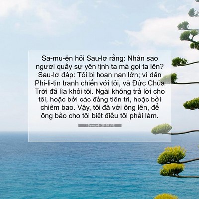 Picture 07 - 1 Sa-mu-ên 28:15 VIE - Sa-mu-ên hỏi Sau-lơ rằng: Nhân sao ngươi - Bible Verse Picture