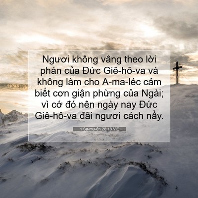 Picture 07 - 1 Sa-mu-ên 28:18 VIE - Ngươi không vâng theo lời phán của - Bible Verse Picture