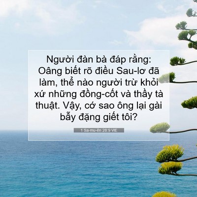 Picture 07 - 1 Sa-mu-ên 28:9 VIE - Người đàn bà đáp rằng: Oâng biết rõ - Bible Verse Picture