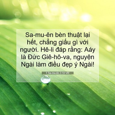 Picture 07 - 1 Sa-mu-ên 3:18 VIE - Sa-mu-ên bèn thuật lại hết, chẳng - Bible Verse Picture