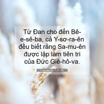 Picture 07 - 1 Sa-mu-ên 3:20 VIE - Từ Đan cho đến Bê-e-sê-ba, cả - Bible Verse Picture