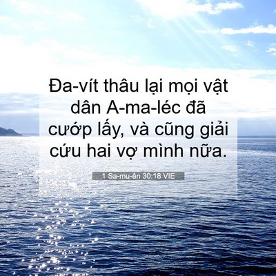 Picture 07 - 1 Sa-mu-ên 30:18 VIE - Đa-vít thâu lại mọi vật dân A-ma-léc - Bible Verse Picture