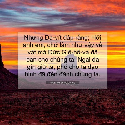Picture 07 - 1 Sa-mu-ên 30:23 VIE - Nhưng Đa-vít đáp rằng; Hỡi anh em, chớ - Bible Verse Picture