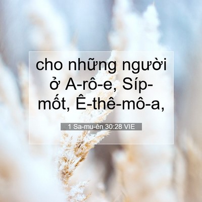 Picture 07 - 1 Sa-mu-ên 30:28 VIE - cho những người ở A-rô-e, Síp-mốt, - Bible Verse Picture