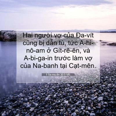 Picture 07 - 1 Sa-mu-ên 30:5 VIE - Hai người vợ của Đa-vít cũng bị dẫn - Bible Verse Picture