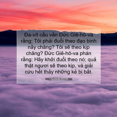 Picture 07 - 1 Sa-mu-ên 30:8 VIE - Đa-vít cầu vấn Đức Giê-hô-va rằng: - Bible Verse Picture