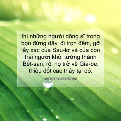 Picture 07 - 1 Sa-mu-ên 31:12 VIE - thì những người dõng sĩ trong bọn - Bible Verse Picture