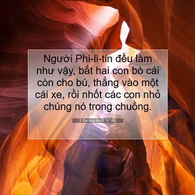 Picture 07 - 1 Sa-mu-ên 6:10 VIE - Người Phi-li-tin đều làm như vậy, bắt - Bible Verse Picture