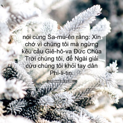 Picture 07 - 1 Sa-mu-ên 7:8 VIE - nói cùng Sa-mu-ên rằng: Xin chớ vì chúng - Bible Verse Picture