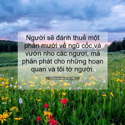 Picture 07 - 1 Sa-mu-ên 8:15 VIE - Người sẽ đánh thuế một phần mười - Bible Verse Picture