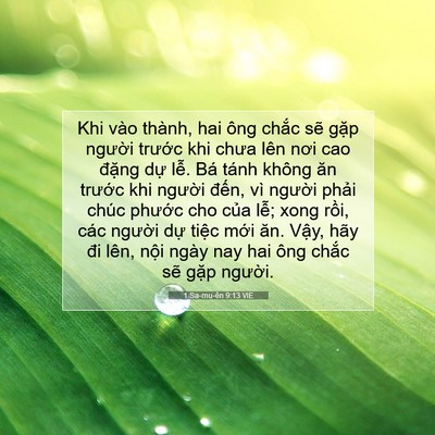 Picture 07 - 1 Sa-mu-ên 9:13 VIE - Khi vào thành, hai ông chắc sẽ gặp - Bible Verse Picture