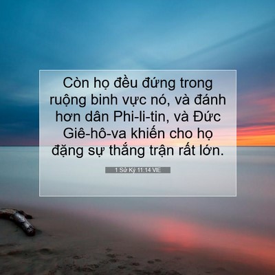 Picture 07 - 1 Sử Ký 11:14 VIE - Còn họ đều đứng trong ruộng binh vực - Bible Verse Picture