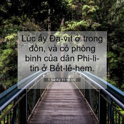Picture 07 - 1 Sử Ký 11:16 VIE - Lúc ấy Đa-vít ở trong đồn, và có - Bible Verse Picture
