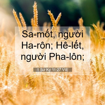 Picture 07 - 1 Sử Ký 11:27 VIE - Sa-mốt, người Ha-rôn; Hê-lết, người - Bible Verse Picture