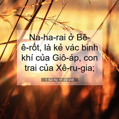 Picture 07 - 1 Sử Ký 11:39 VIE - Na-ha-rai ở Bê-ê-rốt, là kẻ vác binh - Bible Verse Picture