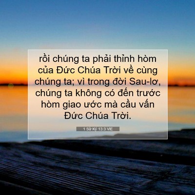 Picture 07 - 1 Sử Ký 13:3 VIE - rồi chúng ta phải thỉnh hòm của Đức - Bible Verse Picture