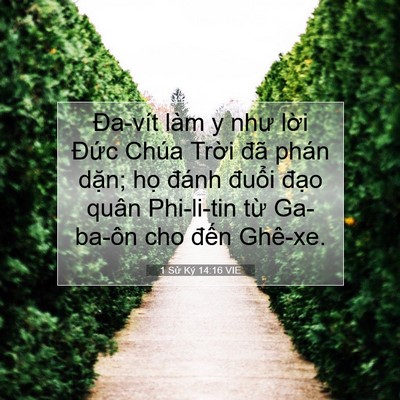 Picture 07 - 1 Sử Ký 14:16 VIE - Đa-vít làm y như lời Đức Chúa Trời - Bible Verse Picture