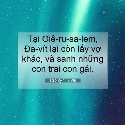 Picture 07 - 1 Sử Ký 14:3 VIE - Tại Giê-ru-sa-lem, Đa-vít lại còn lấy - Bible Verse Picture