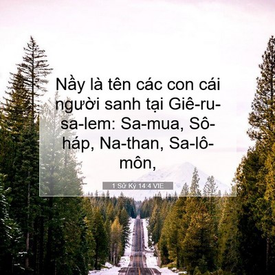 Picture 07 - 1 Sử Ký 14:4 VIE - Nầy là tên các con cái người sanh tại - Bible Verse Picture
