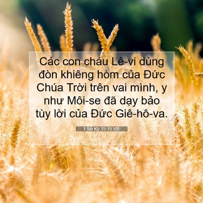 Picture 07 - 1 Sử Ký 15:15 VIE - Các con cháu Lê-vi dùng đòn khiêng hòm - Bible Verse Picture